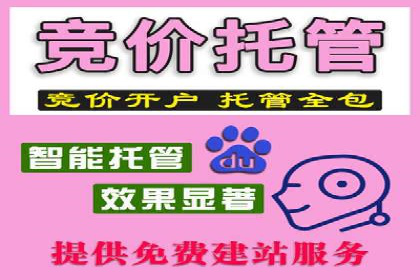 SEM外包在提高搜索引擎排名中的应用案例